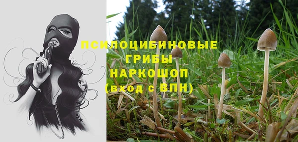 а пвп мука Саяногорск
