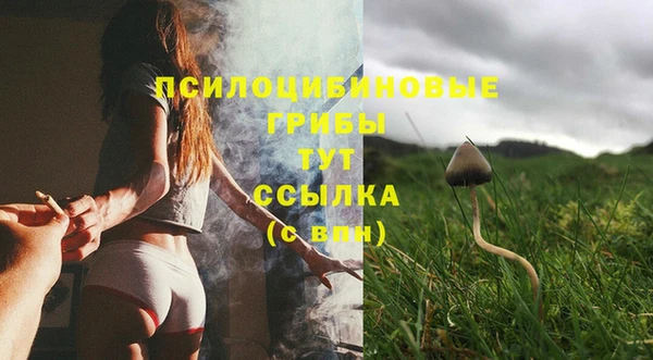 молекула духа Балахна