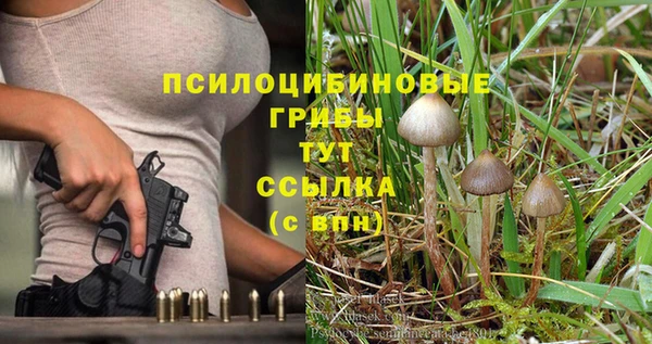 молекула духа Балахна