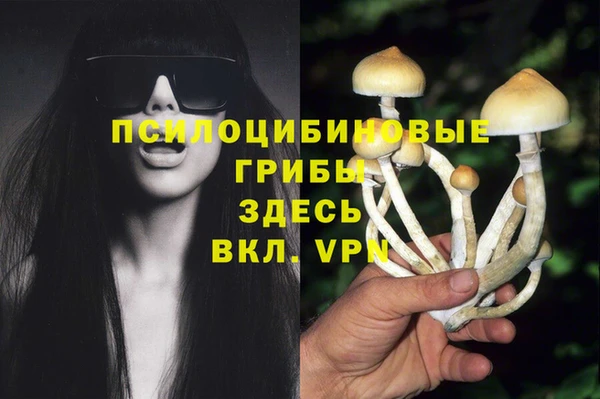 кокс Армянск