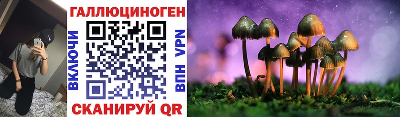 как найти закладки  маркетплейс состав  Галлюциногенные грибы Magic Shrooms  Терек 